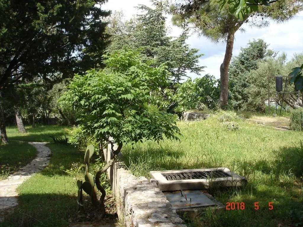 Beachfront Apartment 4526-1 Punat 0*,